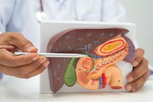Kidney and Liver