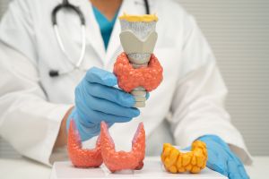 Thyroid Specialist
